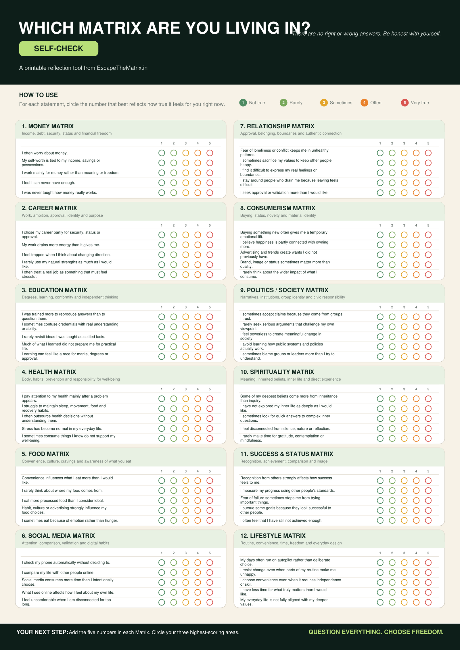 Preview of Which Matrix Are You Living In self-check poster